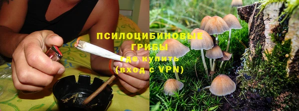 MDMA Няндома