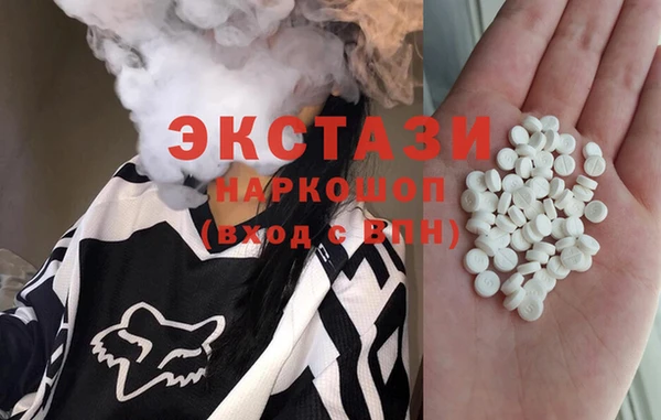 крисы Новозыбков