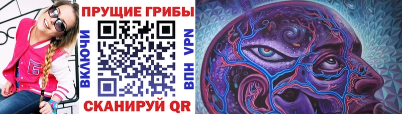 Псилоцибиновые грибы мицелий  блэк спрут ССЫЛКА  Кудрово  наркошоп 