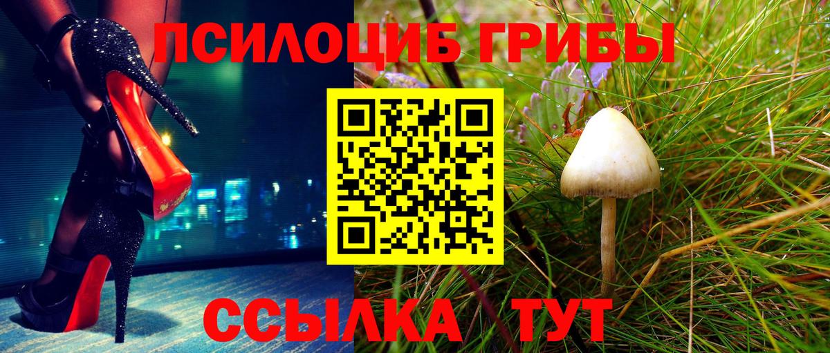 Псилоцибиновые грибы Cubensis Кудрово