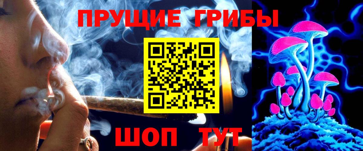 Кудрово  продажа наркотиков  Псилоцибиновые грибы Psilocybine cubensis  Вход с VPN  Галлюциногенные грибы прущие грибы 